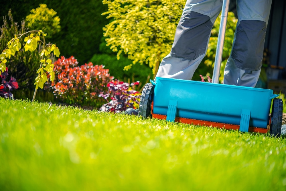 lawn fertilization services and weed control 